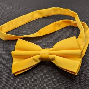 Bow tie (adjustable) NWOT